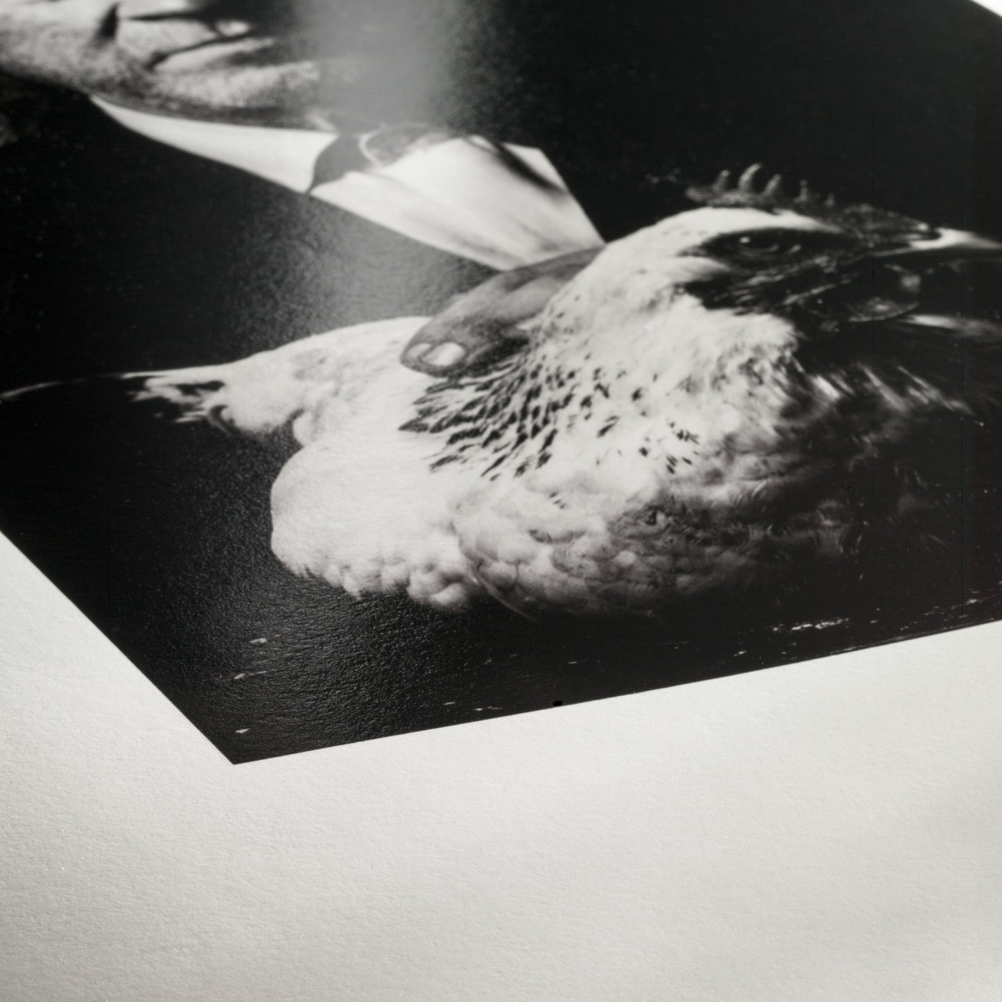 Hahnemühle, Photo Rag Baryta 315 g