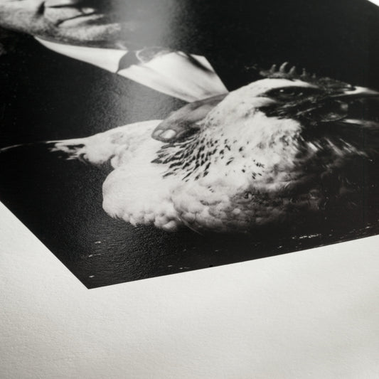 Hahnemühle, Photo Rag Baryta 315 g