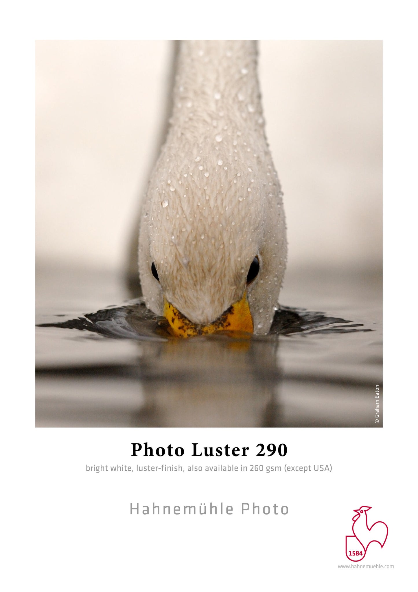 Hahnemühle, Photo Luster 290 g