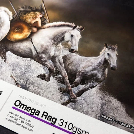 PermaJet, Omega Rag 310 g
