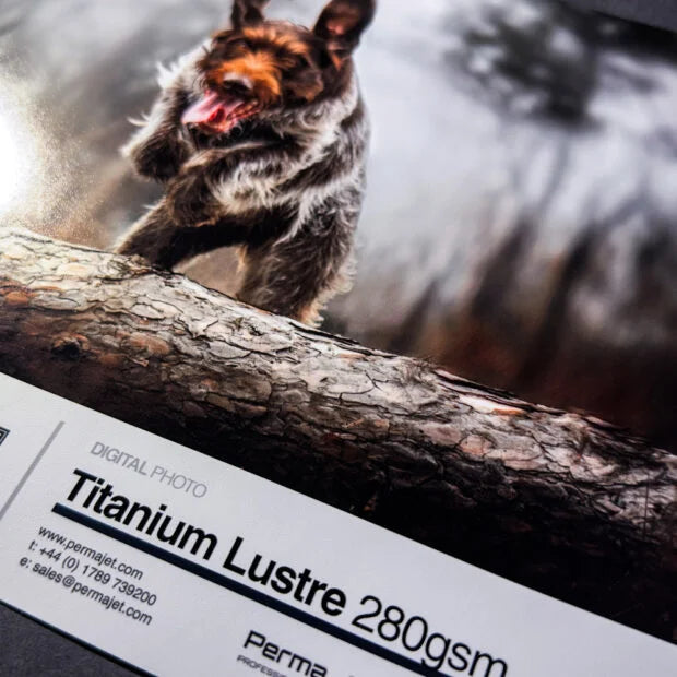 PermaJet, Titanium Lustre Metallic 280 g