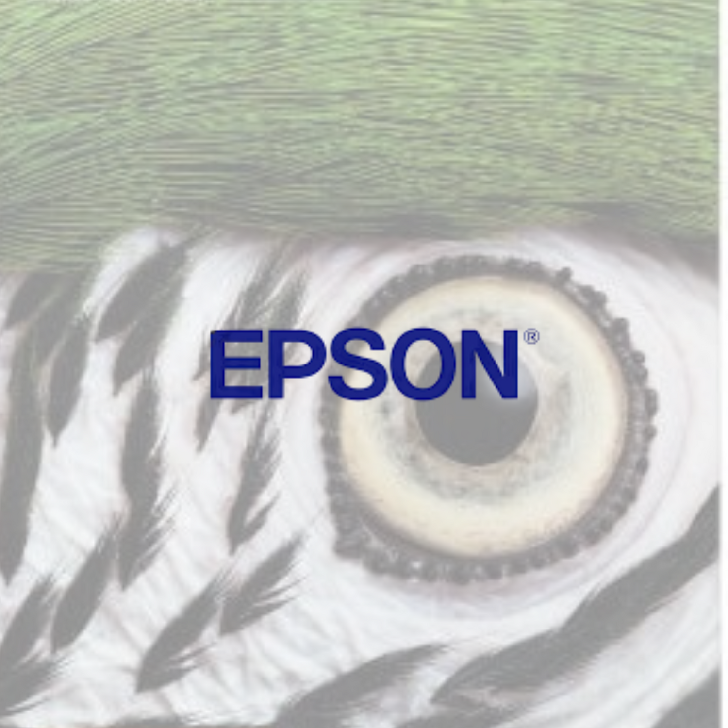 Epson
