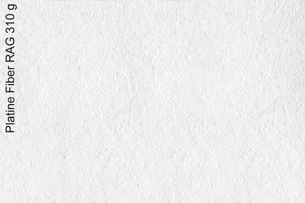 Canson, Platine Fibre Rag 310 g